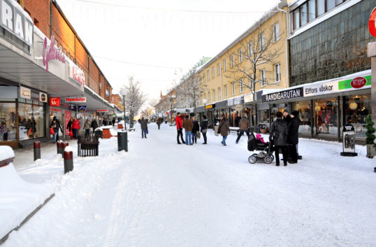 28 cityorganisationer vill se starkare stöd