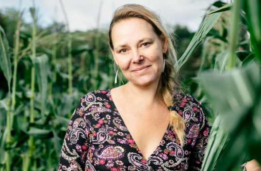 Coop och Änglamark är också de grönaste