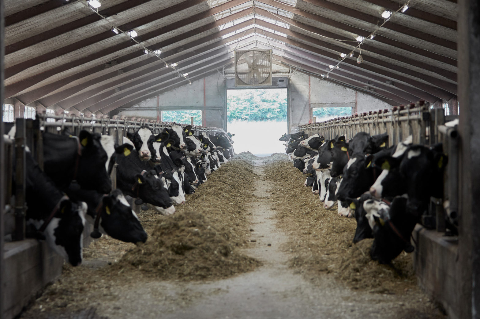 Svenska gårdar deltar i ny klimatdatabas