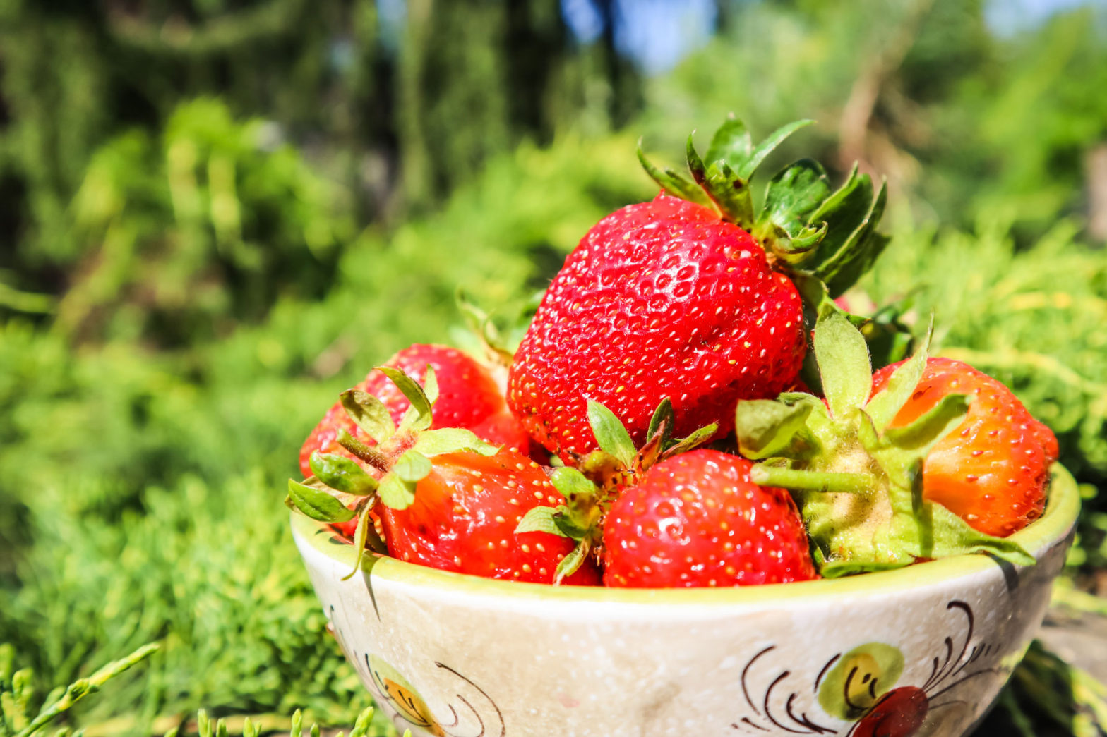 Jordbruksverket kollar jordgubbarnas ursprung