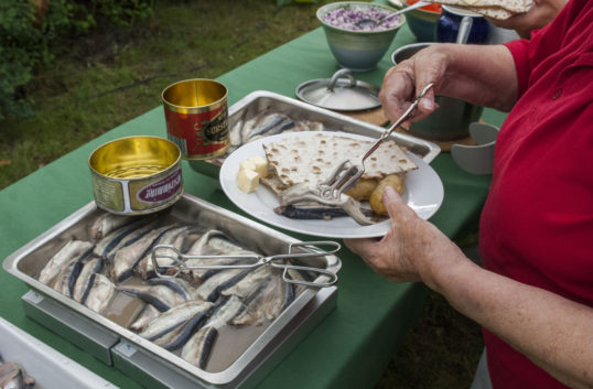 God eller dålig nyhet? Ont om surströmming