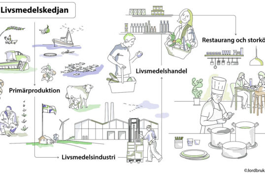 Diagram som visar utvecklingen i svensk livsmedelsstrategi enligt rapport 2025