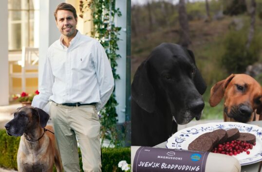 Blodpudding för hund från Magnussons tillagad med svenska råvaror