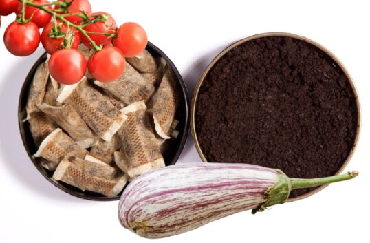 Vanliga livsmedel med naturligt nikotininnehåll