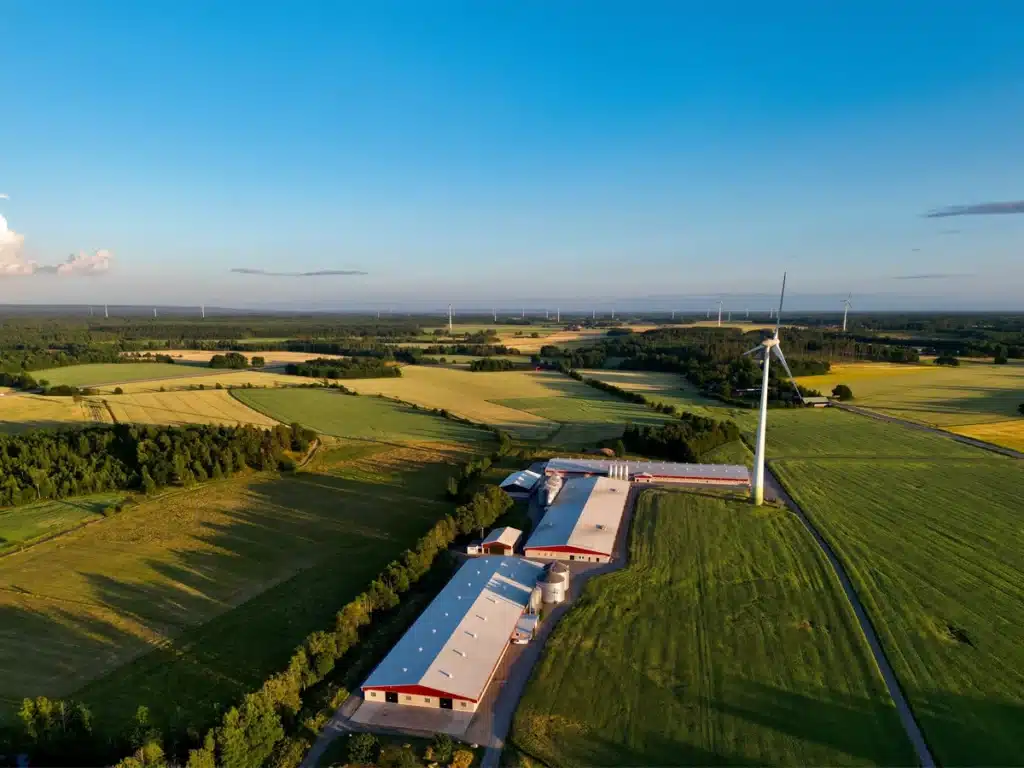Ny undersökning visar ökat förtroende för svensk kyckling. Ursprungsmärkning, trygghet och kvalitet påverkar konsumenternas val i butik.