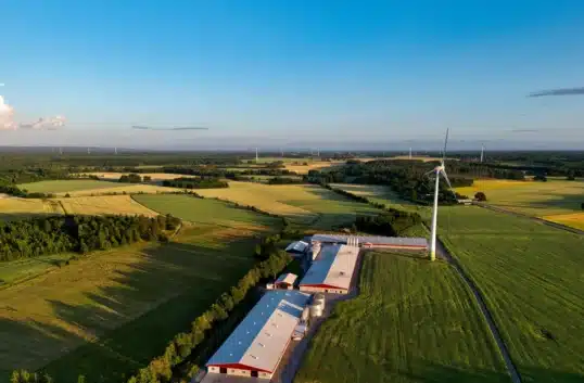Ny undersökning visar ökat förtroende för svensk kyckling. Ursprungsmärkning, trygghet och kvalitet påverkar konsumenternas val i butik.